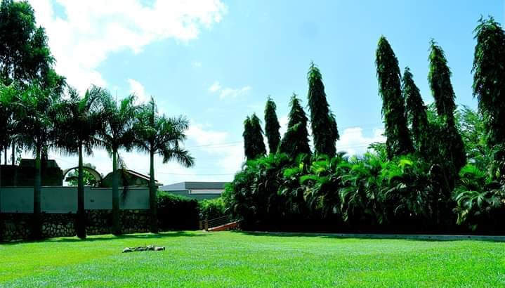 Kevina gardens